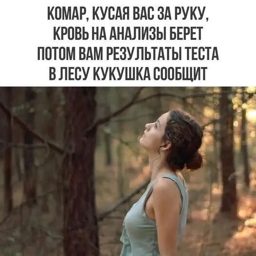 КОМАР, КУСАЯ ВАС ЗА РУКУ, КРОВЬ НА АНАЛИЗЫ БЕРЕТ ПОТОМ ВАМ РЕЗУЛЬТАТЫ ТЕСТА В ЛЕСУ КУКУШКА СООБЩИТ
