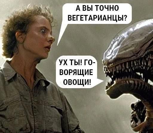 А ВЫ ТОЧНО ВЕГЕТАРИАНЦЫ? УХ ТЫ! ГОВОРЯЩИЕ ОВОЩИ!