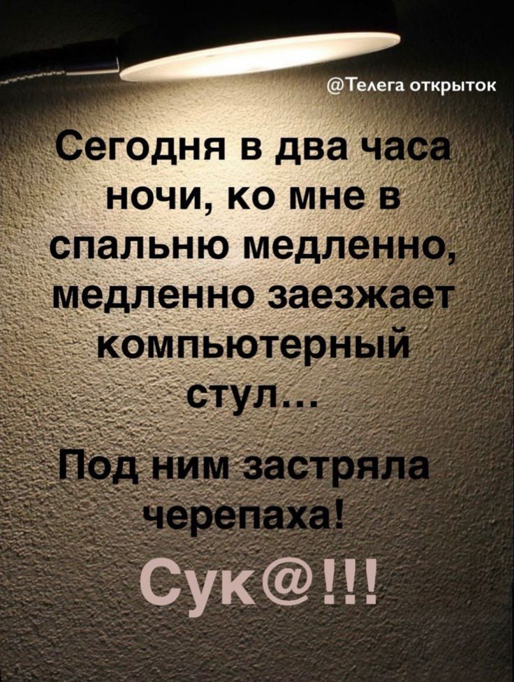 @Телега открыток Сегодня в два часа ночи, ко мне в спальню медленно, медленно заезжает компьютерный стул... Под ним застряла черепаха! Сук@!!!
