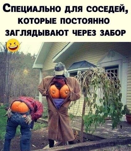 Специально для соседей, которые постоянно заглядывают через забор