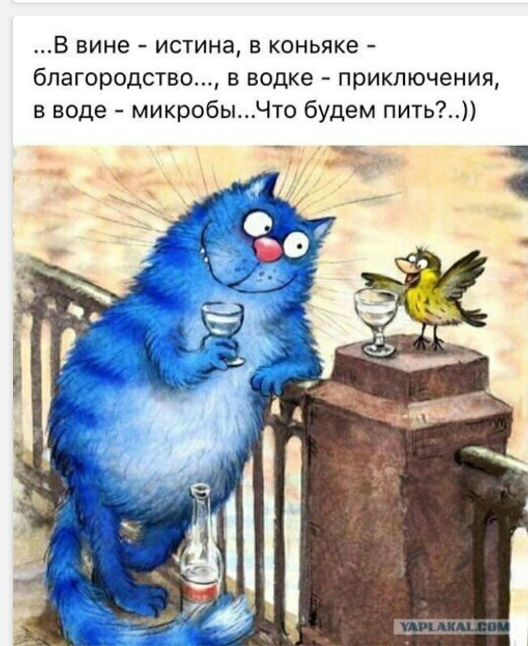 ...В вине - истина, в коньяке - благородство..., в водке - приключения, в воде - микробы...Что будем пить?..))