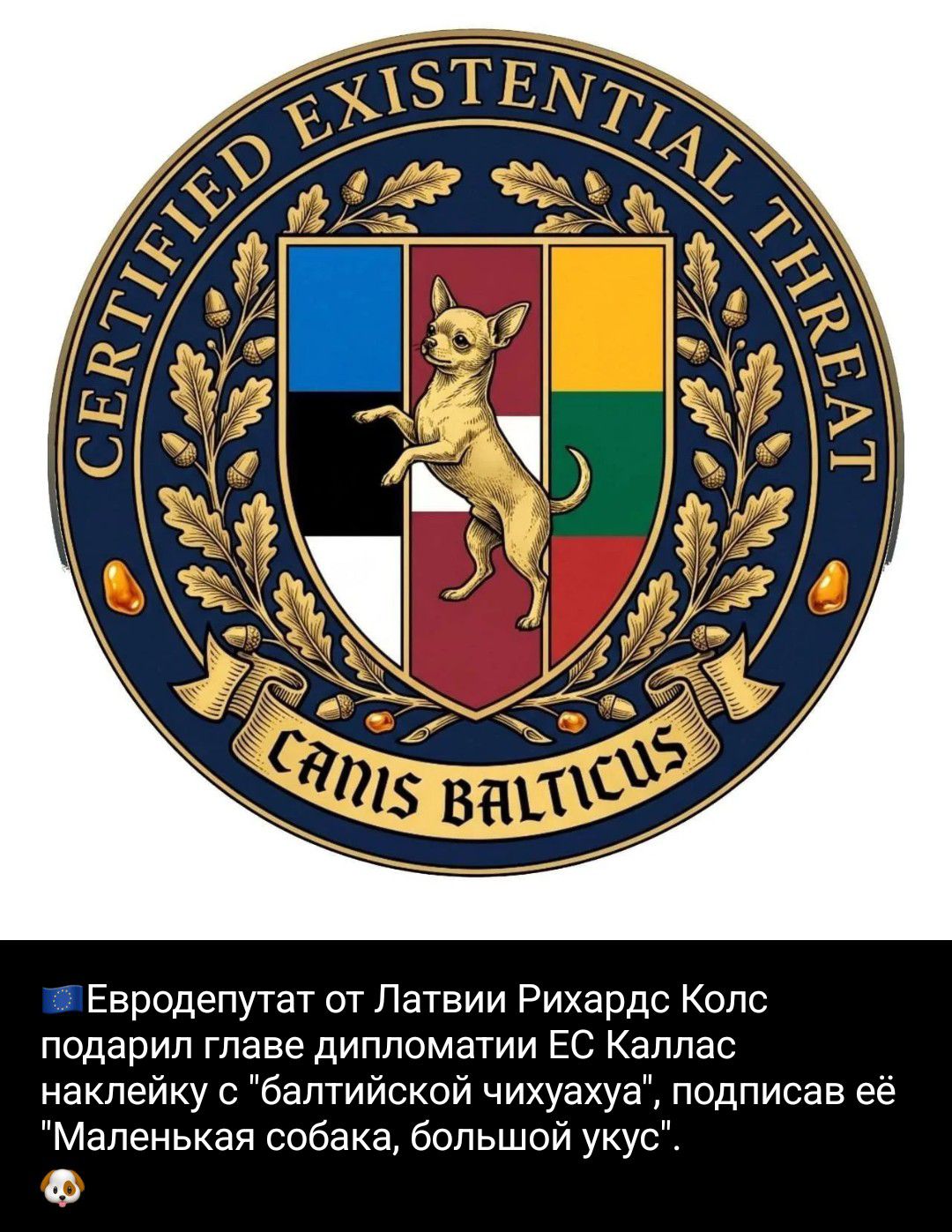 CERTIFIED EXISTENTIAL THREAT CANIS BALTICUS Евродепутат от Латвии Рихардс Колс подарил главе дипломатии ЕС Каллас наклейку с 