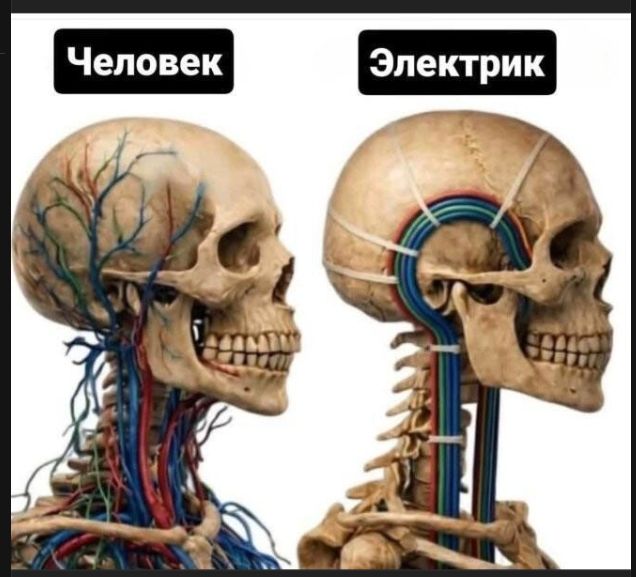 Человек Электрик