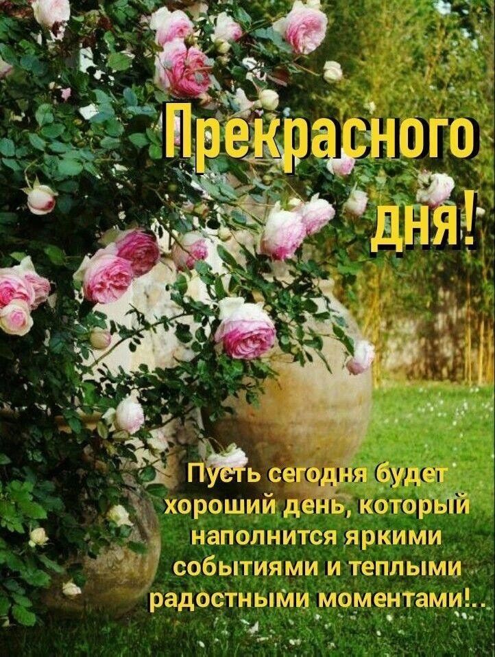 Прекрасного дня! Пусть сегодня будет хороший день, который наполнится яркими событиями и теплыми радостными моментами!