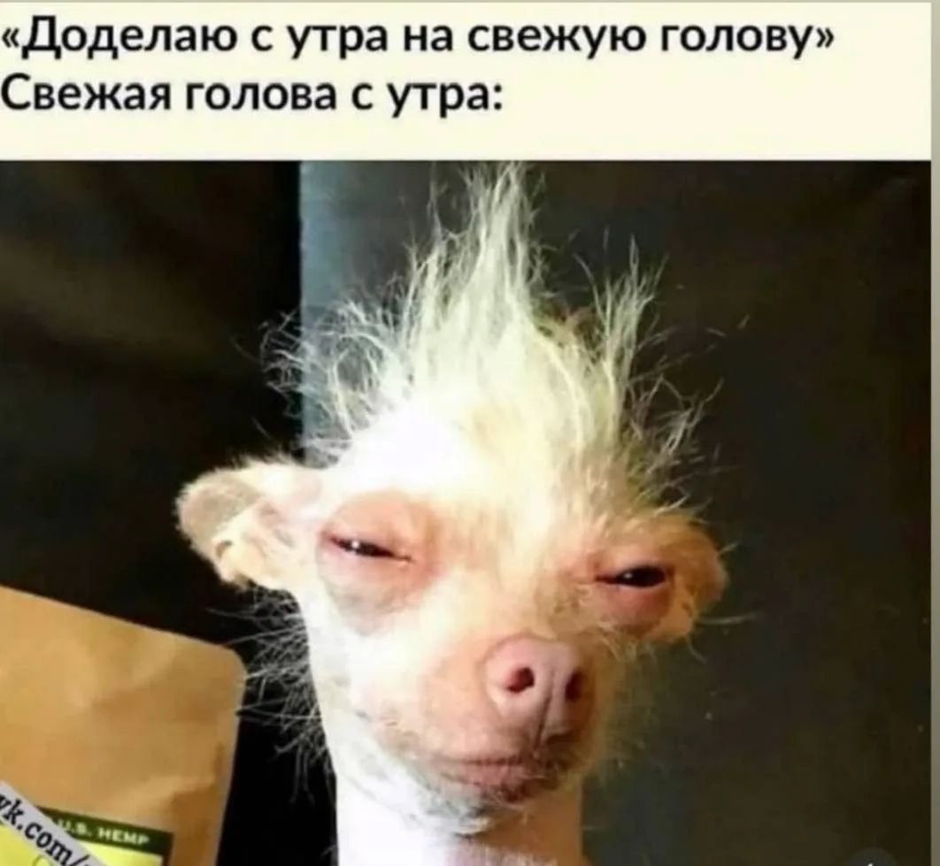 Доделаю с утра на свежую голову Свежая голова с утра: