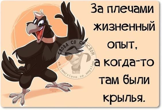 За плечами жизненный опыт, а когда-то там были крылья.