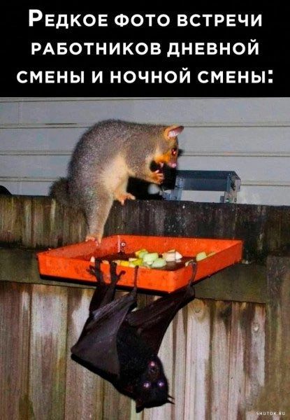 Редкое фото встречи работников дневной смены и ночной смены: