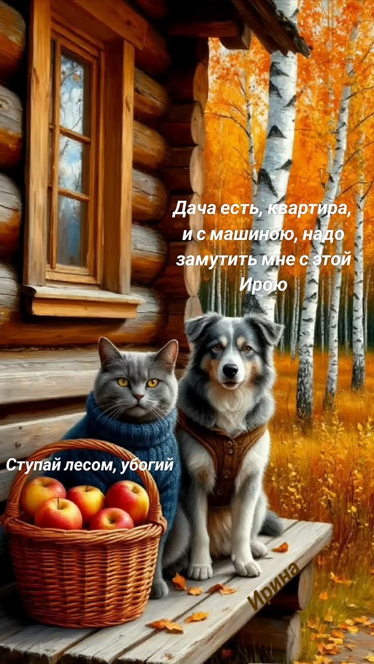 Дача есть, квартира, и с машиною, надо замутить мне с этой Ирою. Ступай лесом, убогий