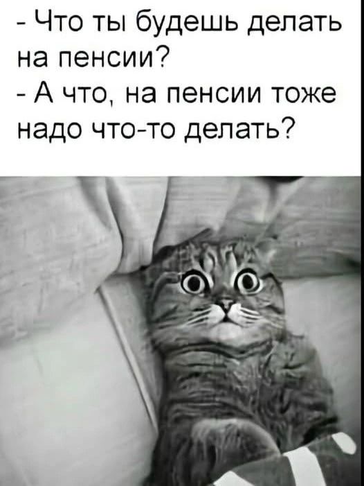 - Что ты будешь делать на пенсии?
- А что, на пенсии тоже надо что-то делать?
