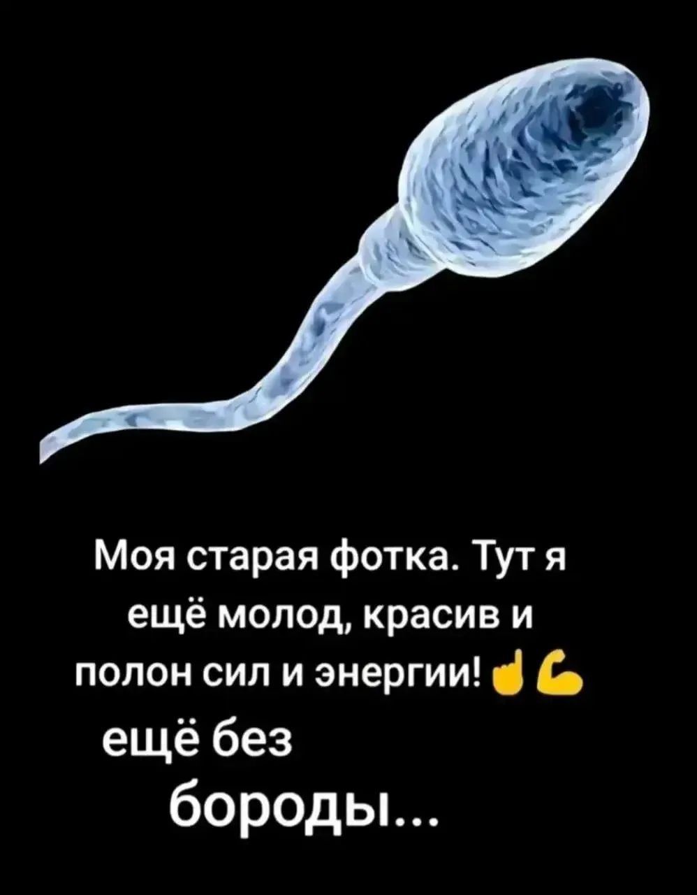 Моя старая фотка. Тут я ещё молод, красив и полон сил и энергии! 💪 ещё без бороды...
