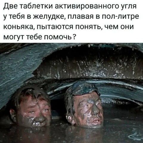 Две таблетки активированного угля у тебя в желудке, плавая в пол-литре коньяка, пытаются понять, чем они могут тебе помочь?