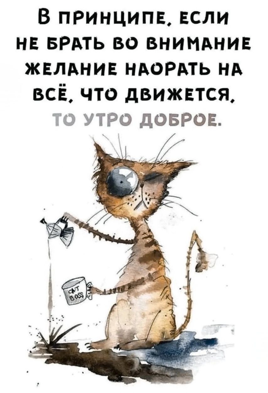 В принципе, если не брать во внимание желание наорать на всё, что движется, то утро доброе. CAT BOSS