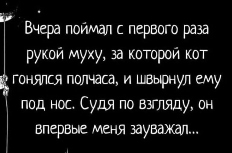 Вчера поймал с первого раза рукой муху, за которой кот гонялся полчаса, и швырнул ему под нос. Судя по взгляду, он впервые меня зауважал...