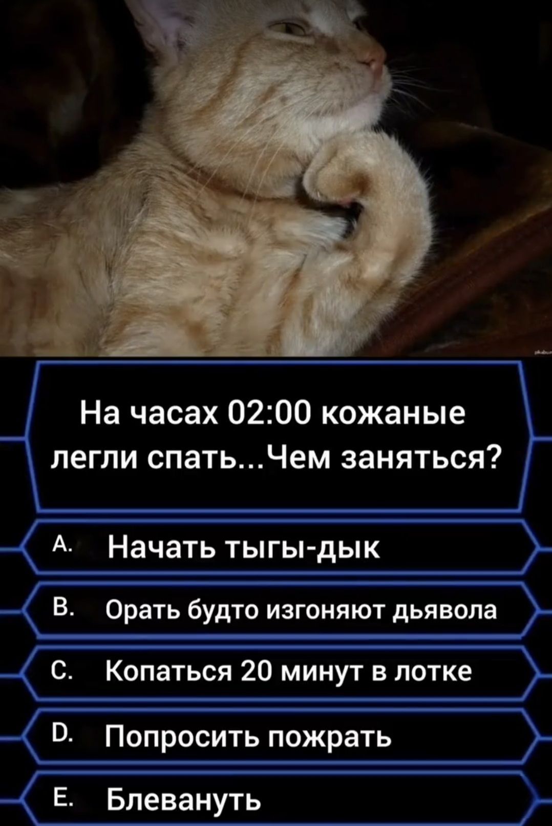 На часах 02:00 кожаные легли спать... Чем заняться? А. Начать тыгы-дык B. Орать будто изгоняют дьявола C. Копаться 20 минут в лотке D. Попросить пожрать E. Блевануть