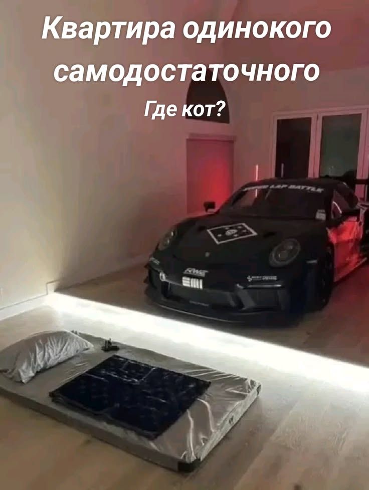 Квартира одинокого самодостаточного. Где кот?