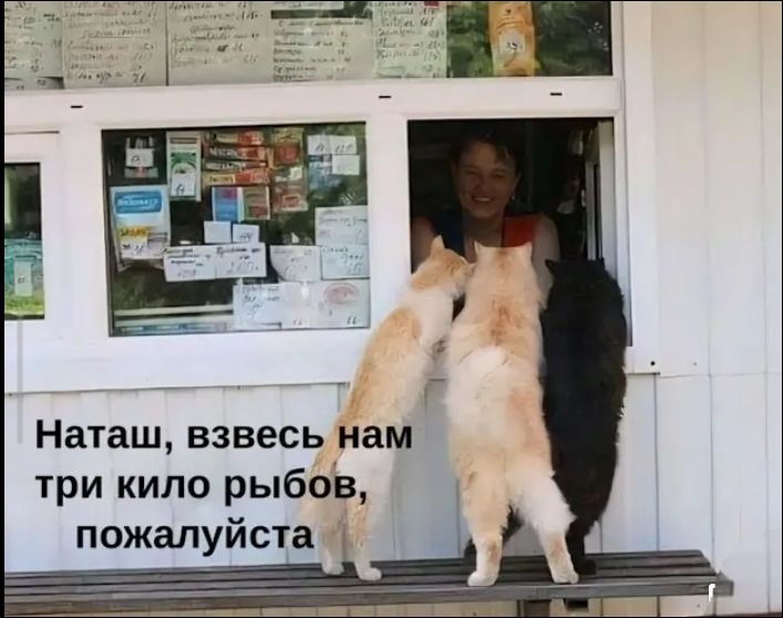 Наташ, взвесь нам три кило рыбов, пожалуйста