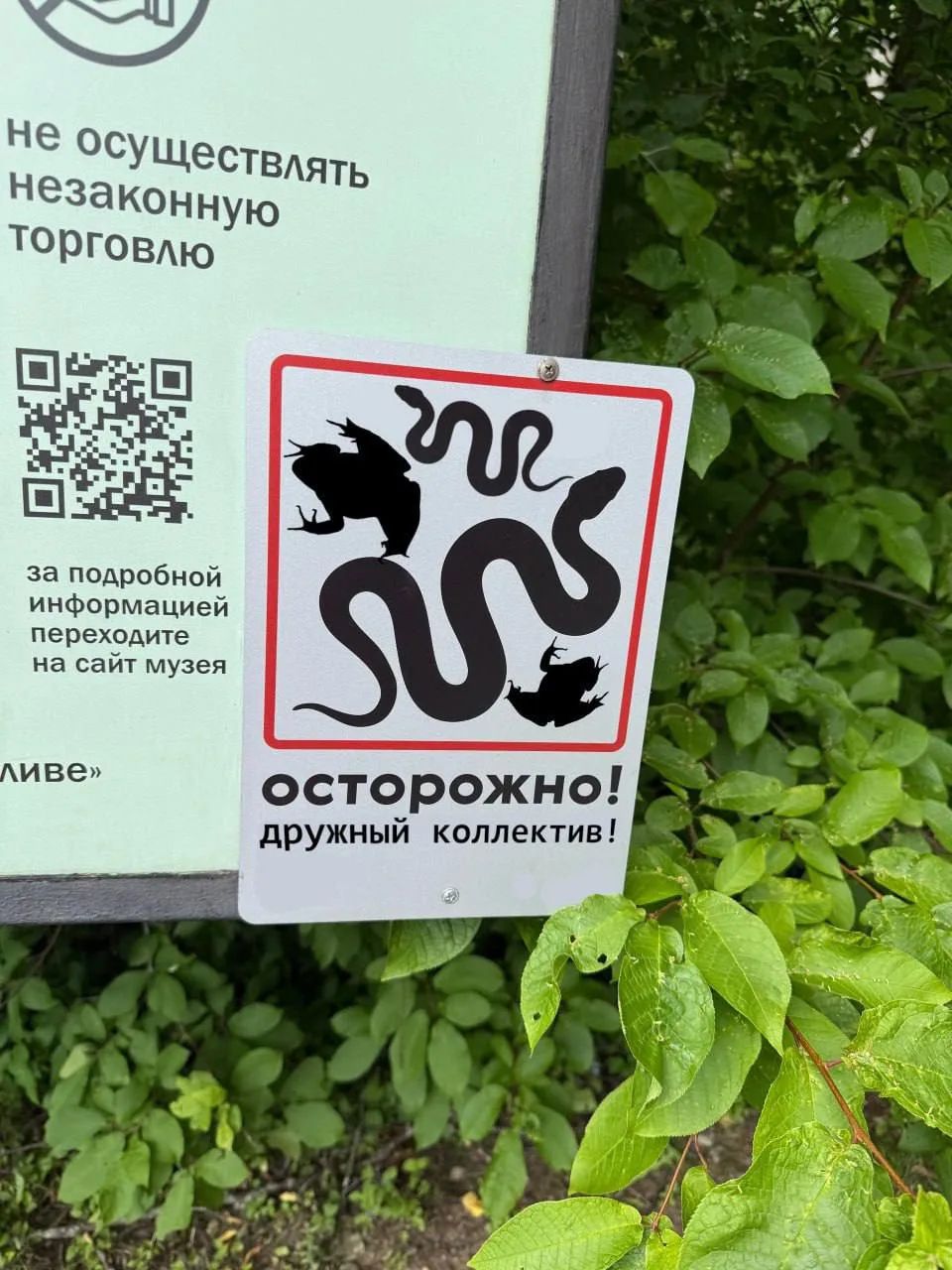 не осуществлять незаконную торговлю за подробной информацией переходите на сайт музея ливе осторожно! дружный коллектив!