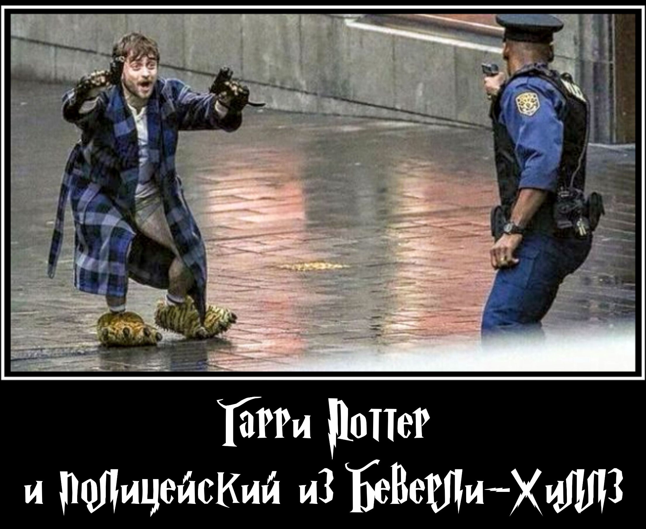 Гарри Поттер и Полицейский из Беверли-Хиллз