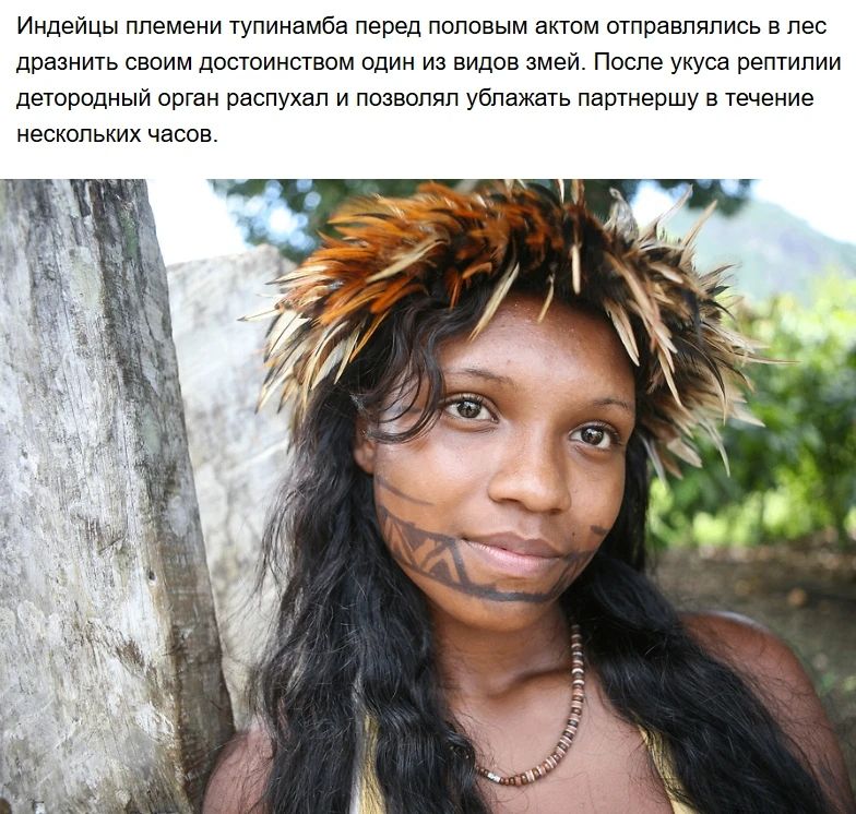 Индейцы племени тупинамба перед половым актом отправлялись в лес дразнить своим достоинством один из видов змей. После укуса рептилии детородный орган распухал и позволял ублажать партнершу в течение нескольких часов.