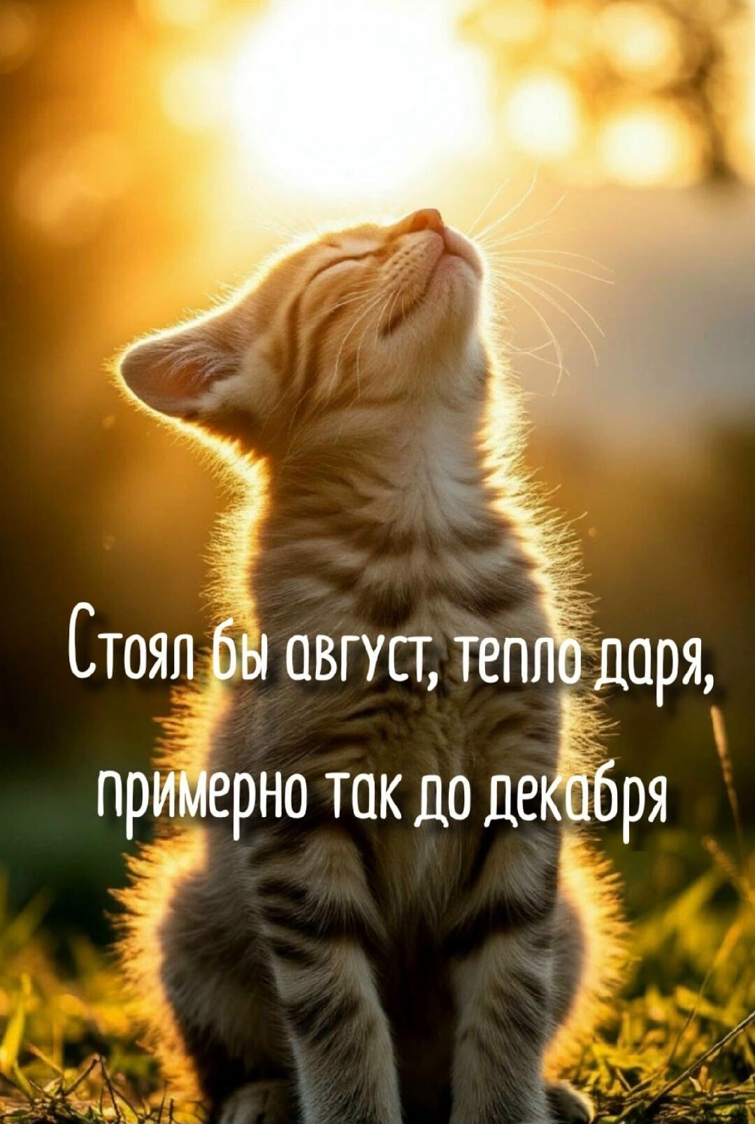 Стоял бы август, тепло даря, примерно так до декабря