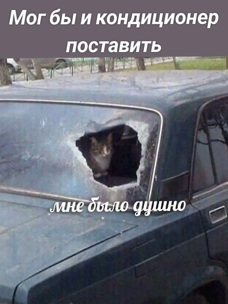 Мог бы и кондиционер поставить мне было душно