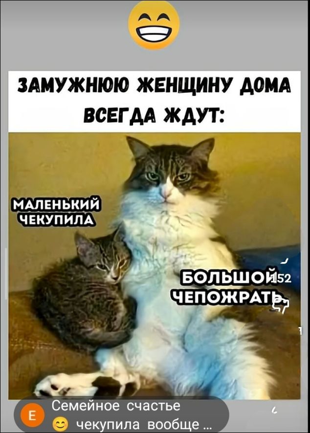 ЗАМУЖНЮЮ ЖЕНЩИНУ ДОМА ВСЕГДА ЖДУТ: МАЛЕНЬКИЙ ЧЕКУПИЛА БОЛЬШОЙ ЧЕПОЖРАТЬ Семейное счастье чекупила вообще ...