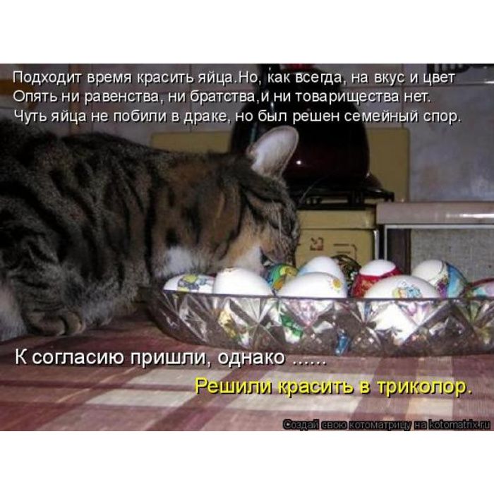 Подходит время красить яйца. Но, как всегда, на вкус и цвет Опять ни равенства, ни братства, и ни товарищества нет. Чуть яйца не побили в драке, но был решен семейный спор. К согласию пришли, однако ...... Решили красить в триколор. Создай свою котоматрицу на kotomatrix.ru
