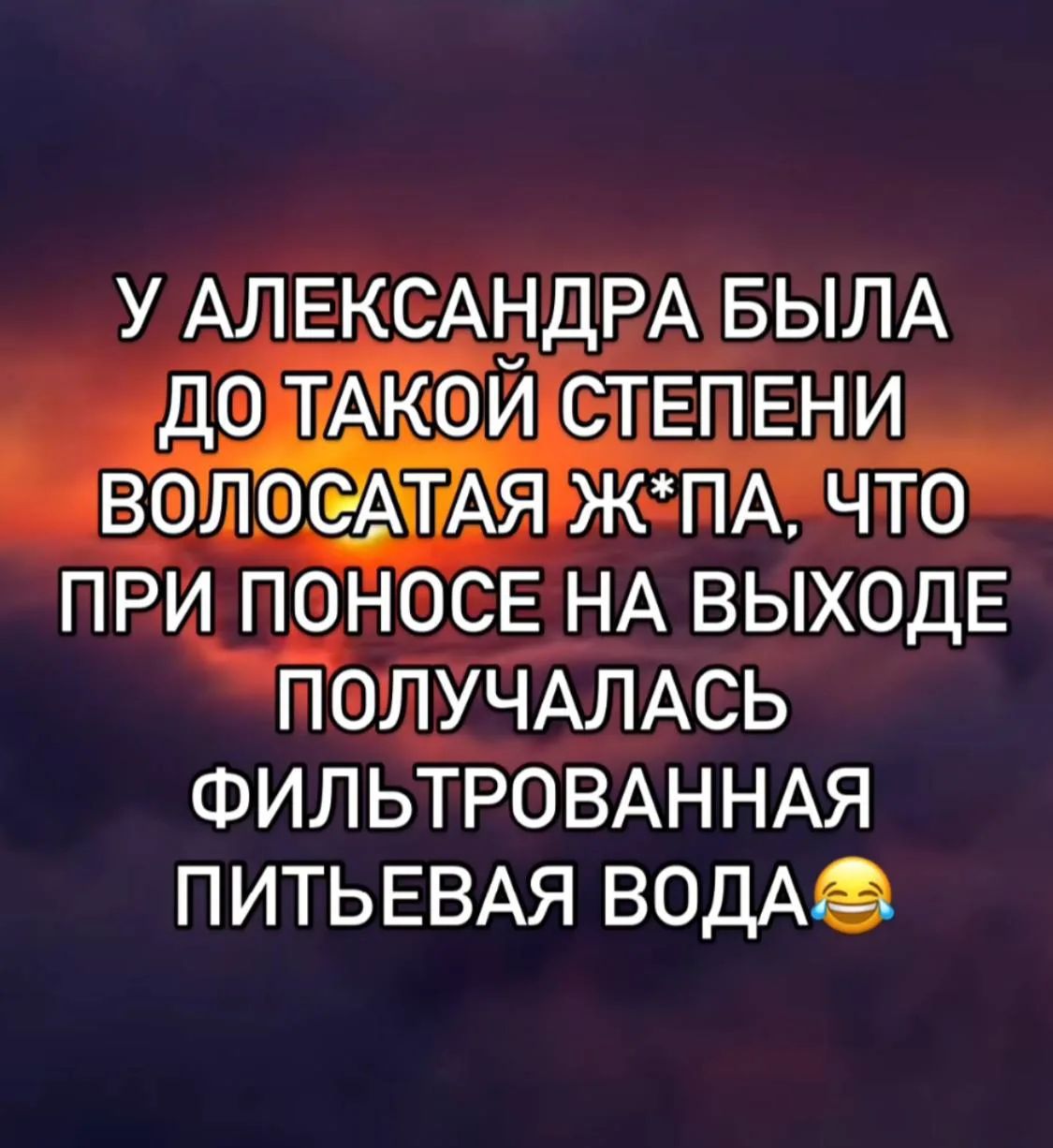 У Александра была до такой степени волосатая ж*па, что при поносе на выходе получалась фильтрованная питьевая вода