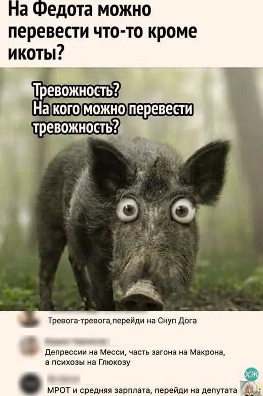 На Федота можно перевести что-то кроме икоты? Тревожность? На кого можно перевести тревожность? Тревога-тревога, перейди на Снуп Дога Депрессии на Месси, часть загона на Макрона, а психозы на Глюкозу МРОТ и средняя зарплата, перейди на депутата
