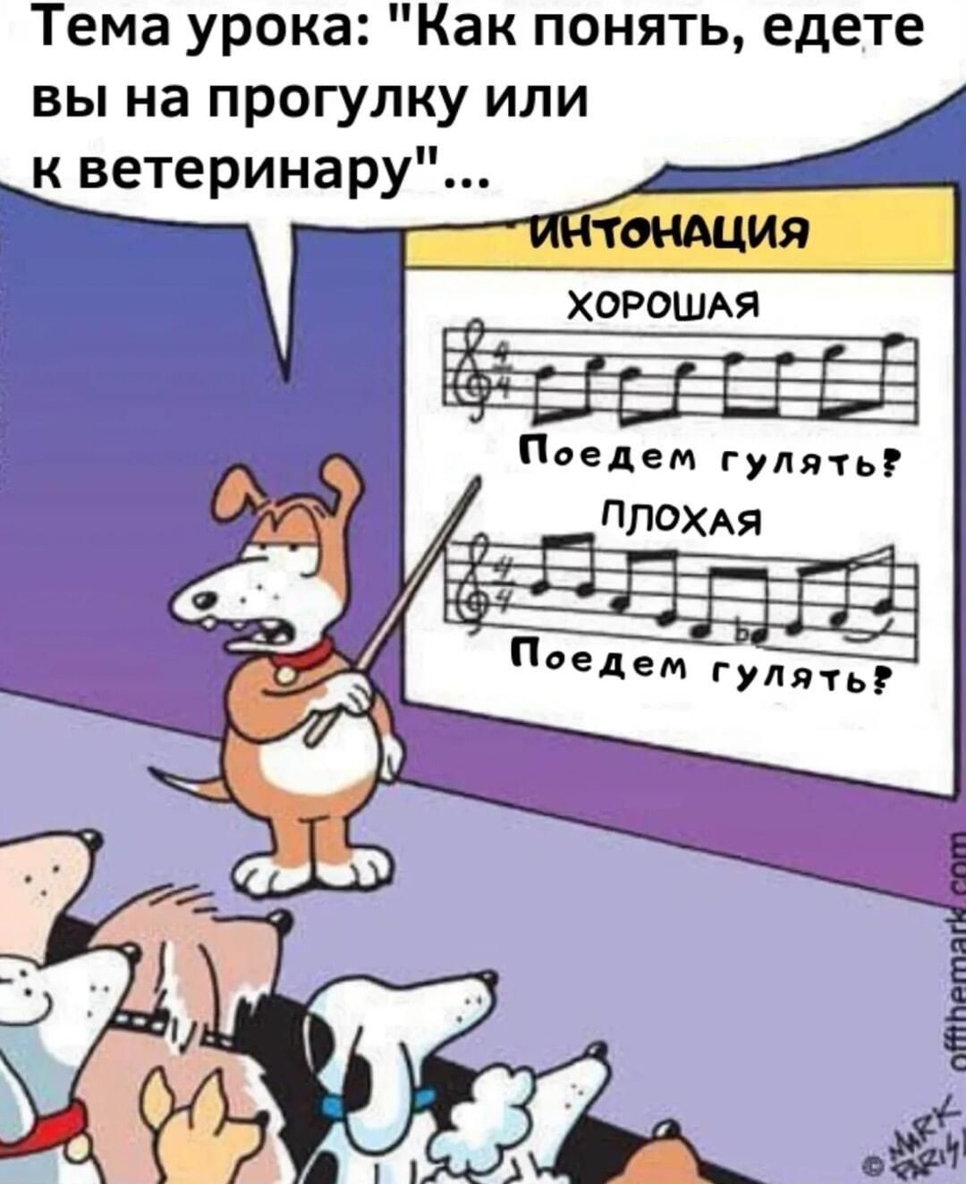 Тема урока: Как понять, едете вы на прогулку или к ветеринару... ИНТОНАЦИЯ Хорошая Поедем гулять? Плохая Поедем гулять?