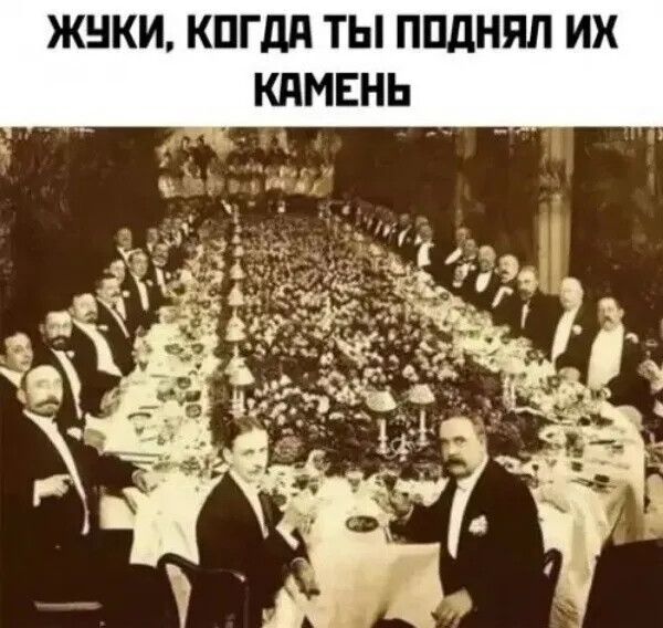 ЖУКИ, КОГДА ТЫ ПОДНЯЛ ИХ КАМЕНЬ