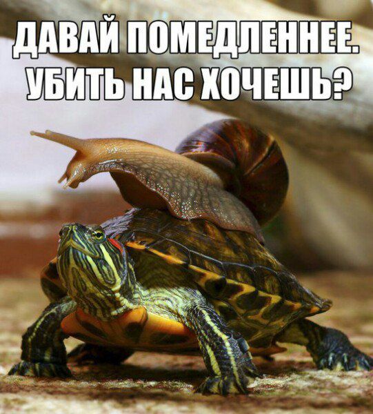 ДАВАЙ ПОМЕДЛЕННЕЕ. УБИТЬ НАС ХОЧЕШЬ?