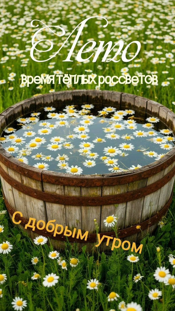 Лето время тёплых рассветов С добрым утром