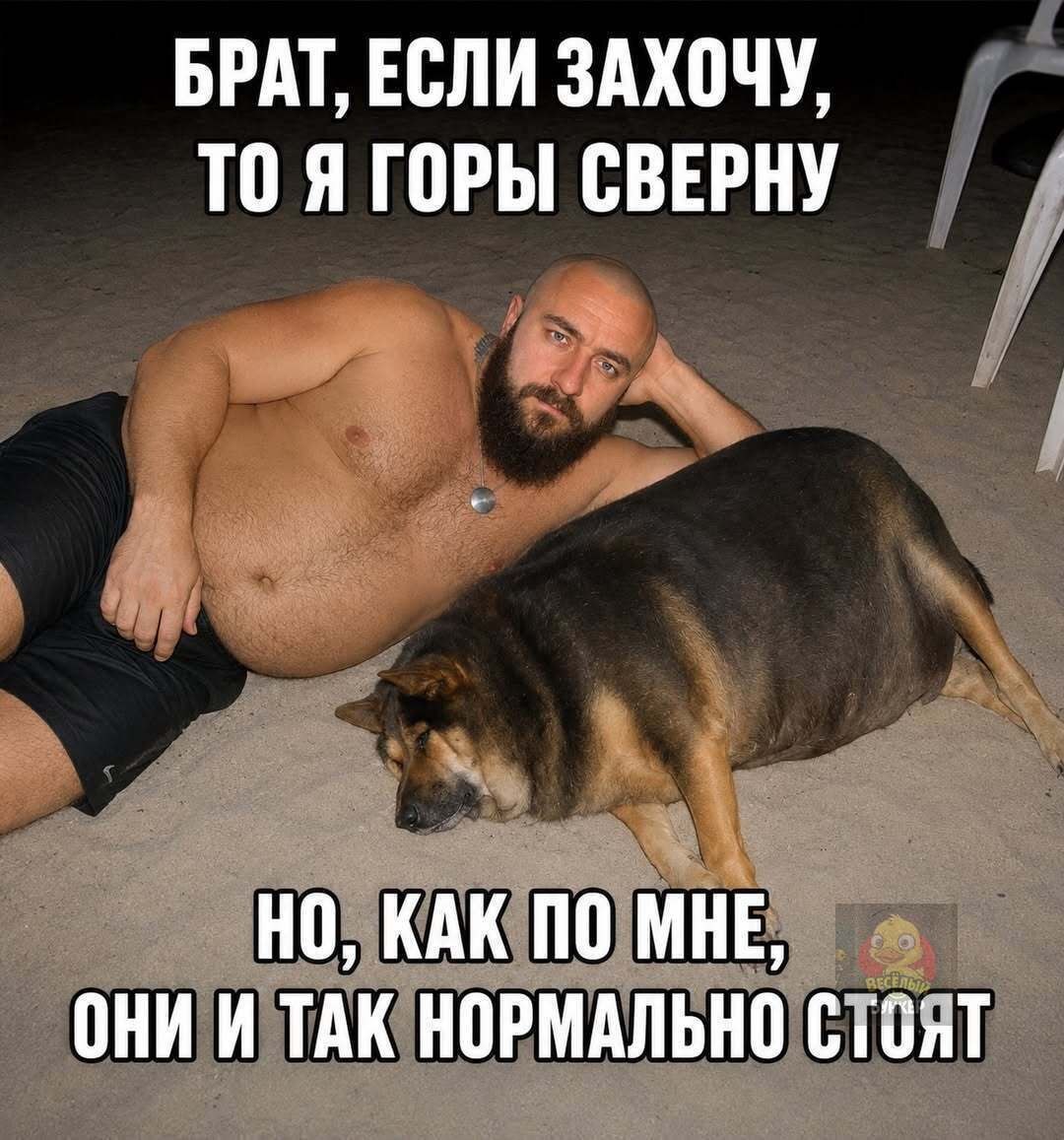 БРАТ, ЕСЛИ ЗАХОЧУ, ТО Я ГОРЫ СВЕРНУ НО, КАК ПО МНЕ, ОНИ И ТАК НОРМАЛЬНО СТОЯТ