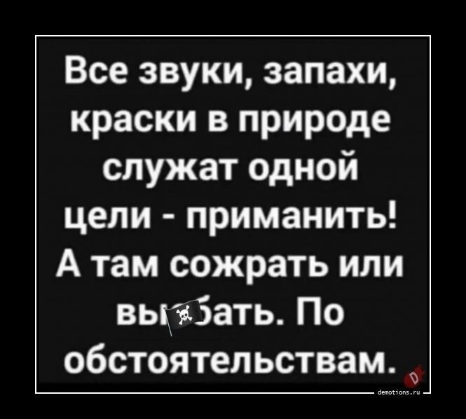 Все звуки, запахи, краски в природе служат одной цели - приманить! А там сожрать или выебать. По обстоятельствам.