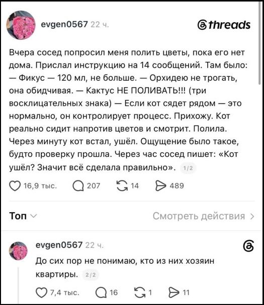 Вчера сосед попросил меня полить цветы, пока его нет дома. Прислал инструкцию на 14 сообщений. Там было: — Фикус — 120 мл, не больше. — Орхидею не трогать, она обидчивая. — Кактус НЕ ПОЛИВАТЬ!!! (три восклицательных знака) — Если кот сядет рядом — это нормально, он контролирует процесс. Прихожу. Кот реально сидит напротив цветов и смотрит. Полила.