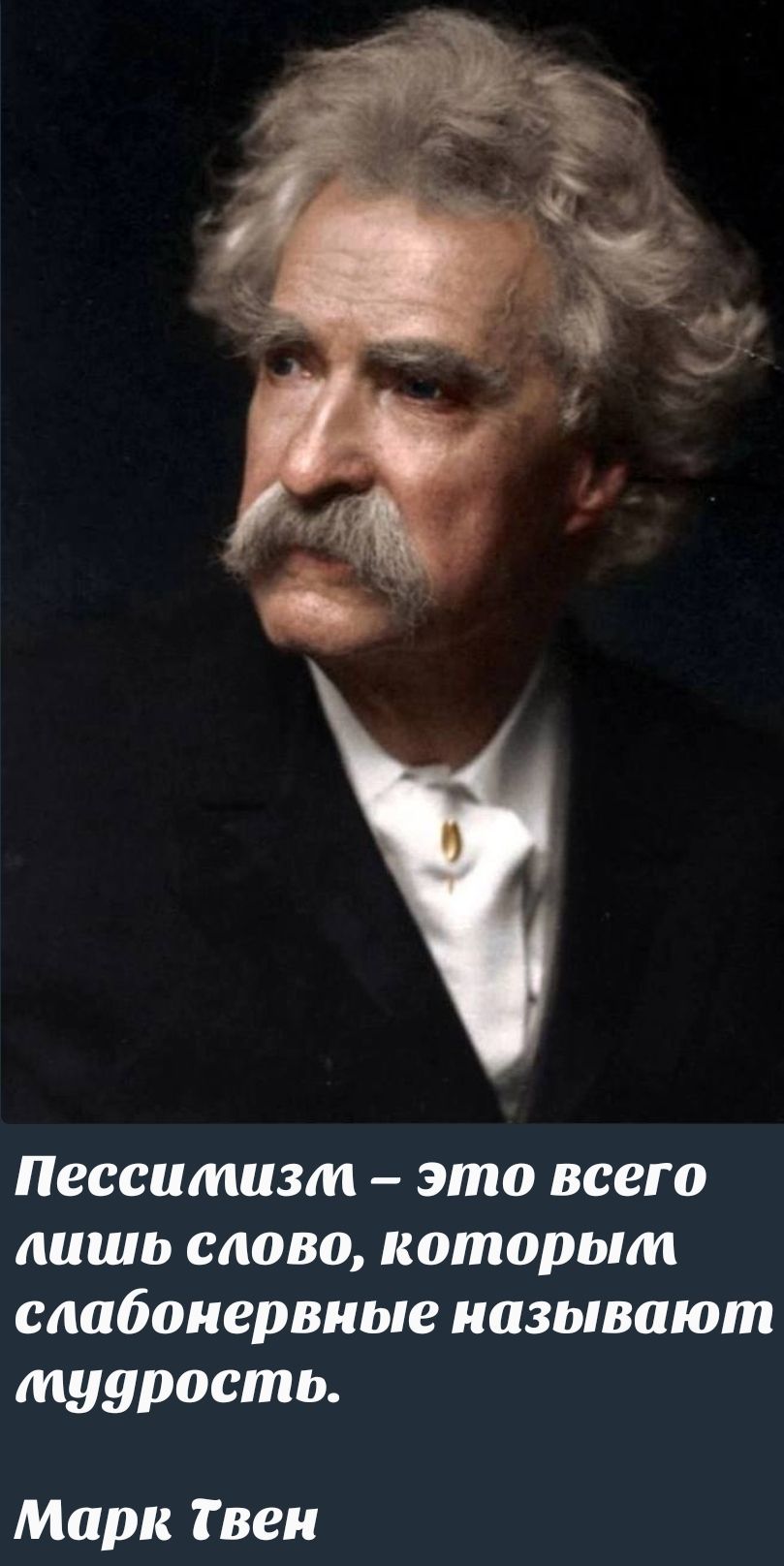 Пессимизм – это всего лишь слово, которым слабонервные называют мудрость. Марк Твен