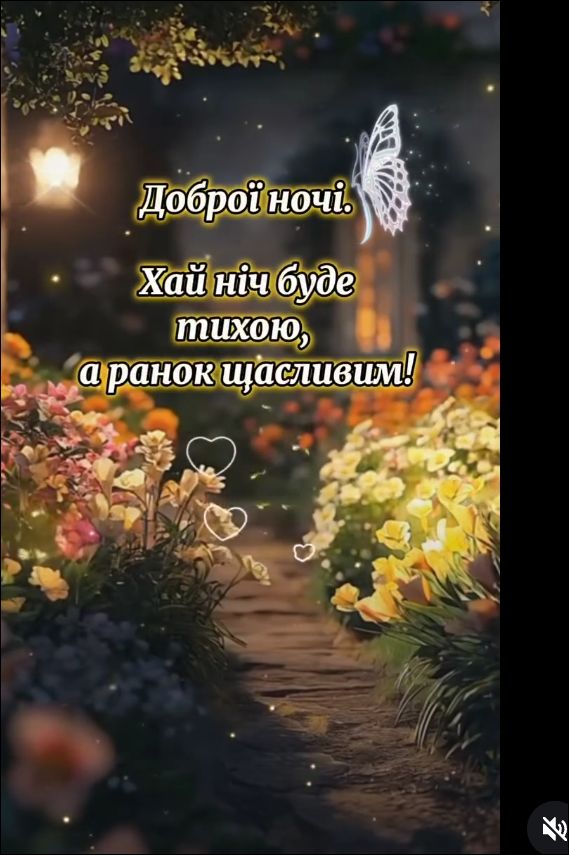 Доброї ночі. Хай ніч буде тихою, а ранок щасливим!
