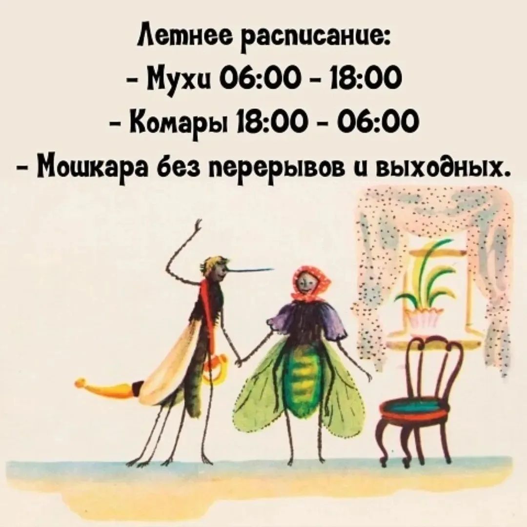 Летнее расписание: - Мухи 06:00 - 18:00 - Комары 18:00 - 06:00 - Мошкара без перерывов и выходных.