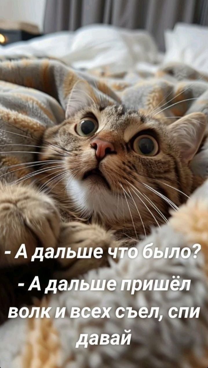 - А дальше что было? - А дальше пришёл волк и всех съел, спи давай