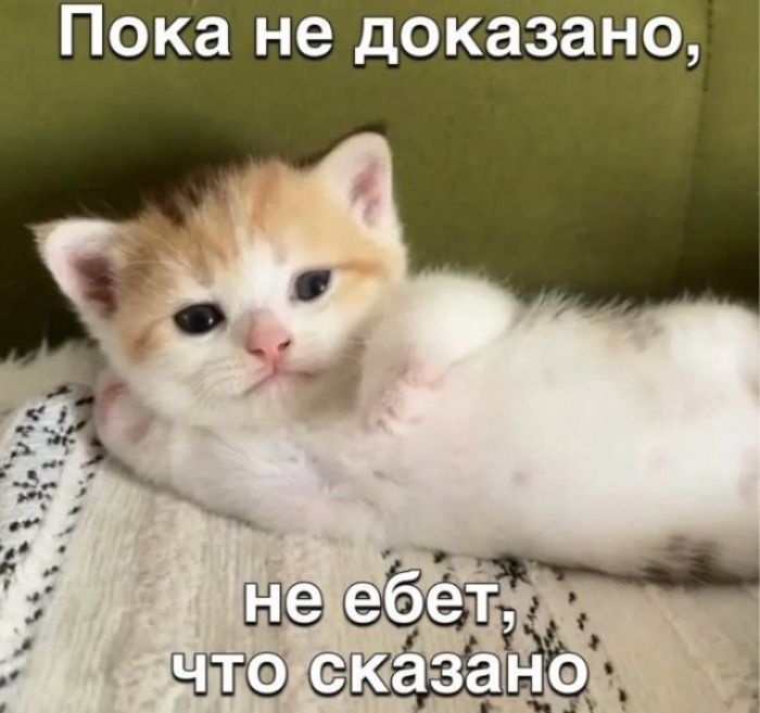Пока не доказано, не ебет, что сказано