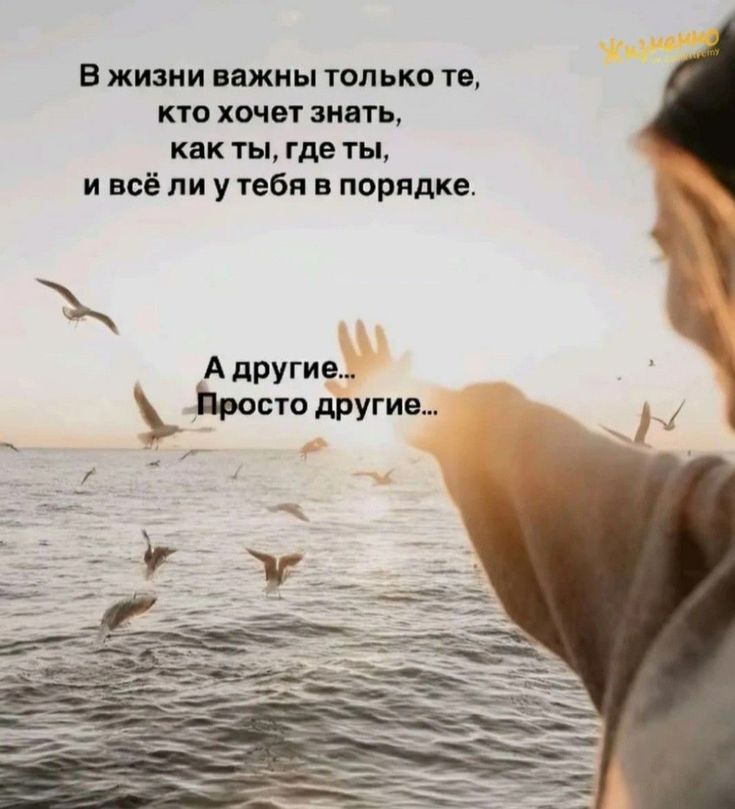 В жизни важны только те, кто хочет знать, как ты, где ты, и всё ли у тебя в порядке. А другие... Просто другие...