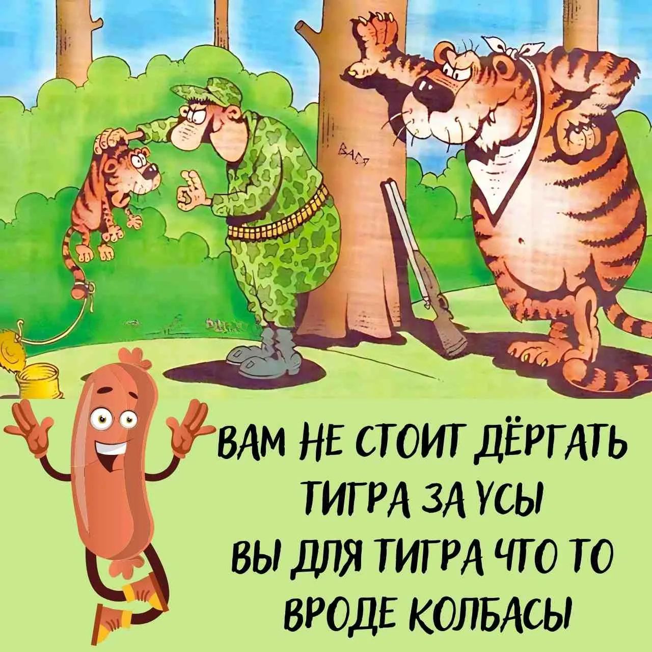 ВАМ НЕ СТОИТ ДЁРГАТЬ ТИГРА ЗА УСЫ ВЫ ДЛЯ ТИГРА ЧТО ТО ВРОДЕ КОЛБАСЫ Вася