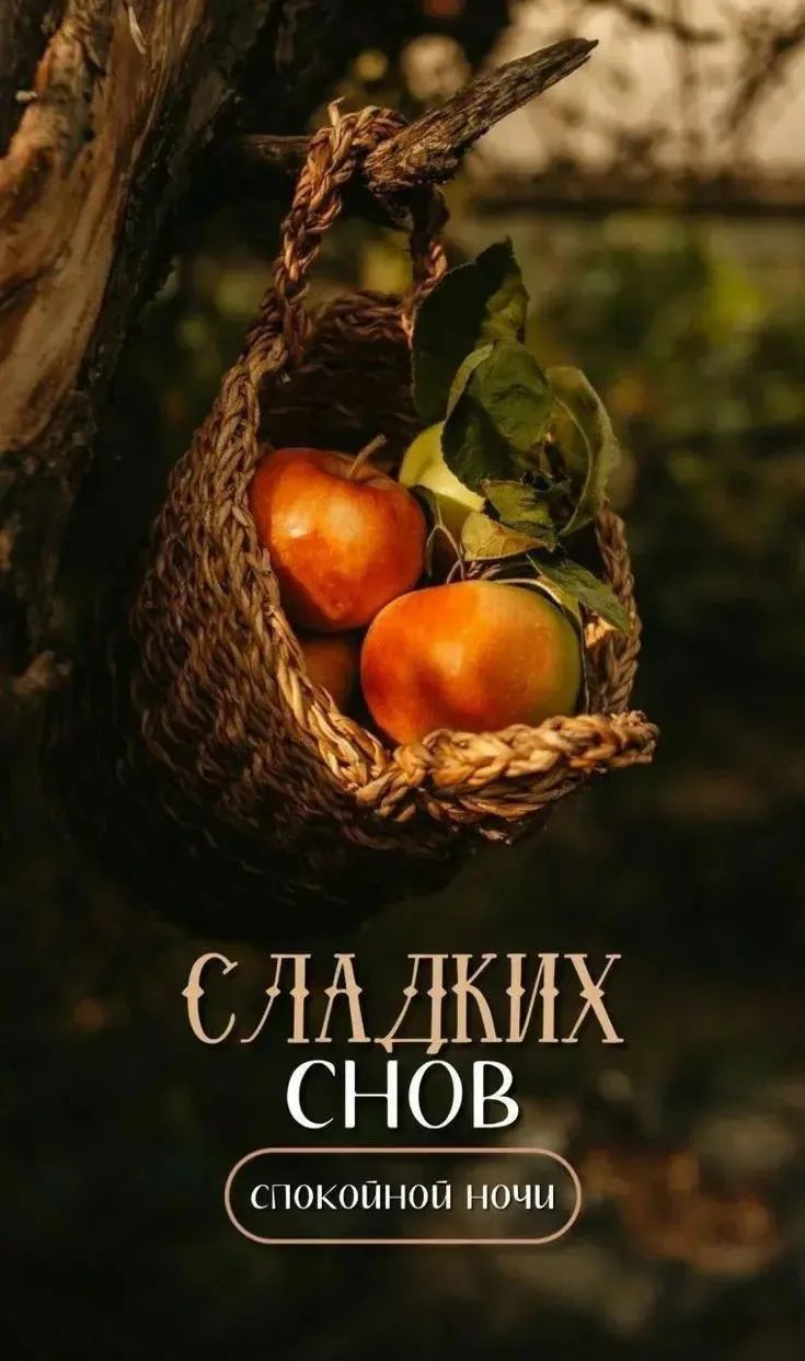 СЛАДКИХ СНОВ СПОКОЙНОЙ НОЧИ