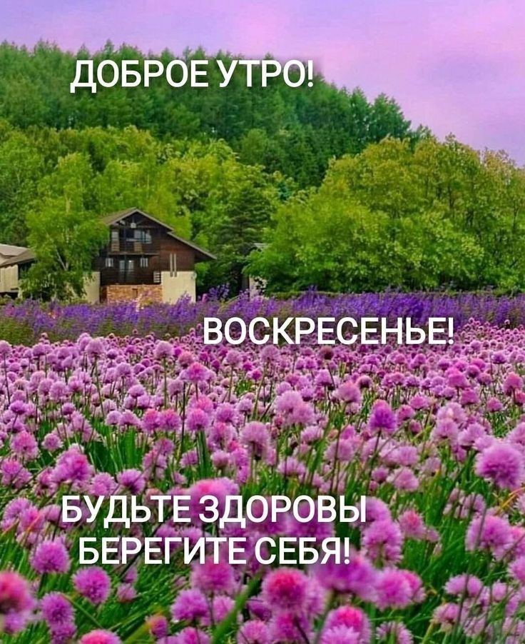 ДОБРОЕ УТРО! ВОСКРЕСЕНЬЕ! БУДЬТЕ ЗДОРОВЫ БЕРЕГИТЕ СЕБЯ!