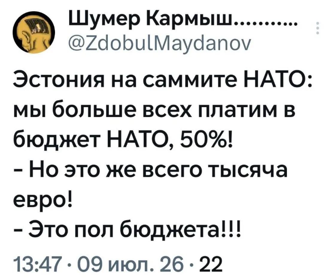 Шумер Кармыш......... @ZdobulMaydanov Эстония на саммите НАТО: мы больше всех платим в бюджет НАТО, 50%! - Но это же всего тысяча евро! - Это пол бюджета!!! 13:47 · 09 июл. 26 · 22