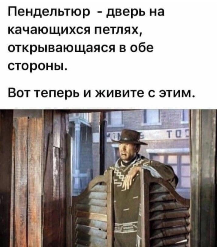 Пендельтюр - дверь на качающихся петлях, открывающаяся в обе стороны. Вот теперь и живите с этим.