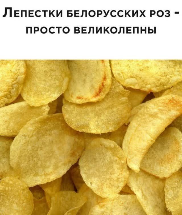ЛЕПЕСТКИ БЕЛОРУССКИХ РОЗ - ПРОСТО ВЕЛИКОЛЕПНЫ
