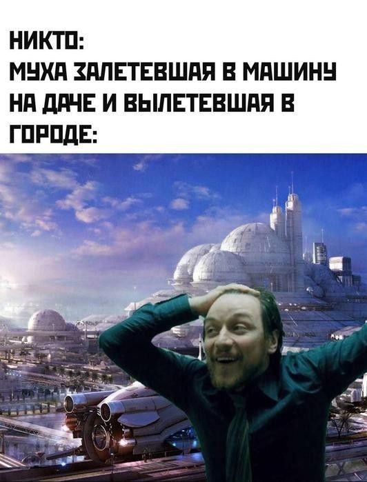 НИКТО: МУХА ЗАЛЕТЕВШАЯ В МАШИНУ НА ДАЧЕ И ВЫЛЕТЕВАШАЯ В ГОРОДЕ: