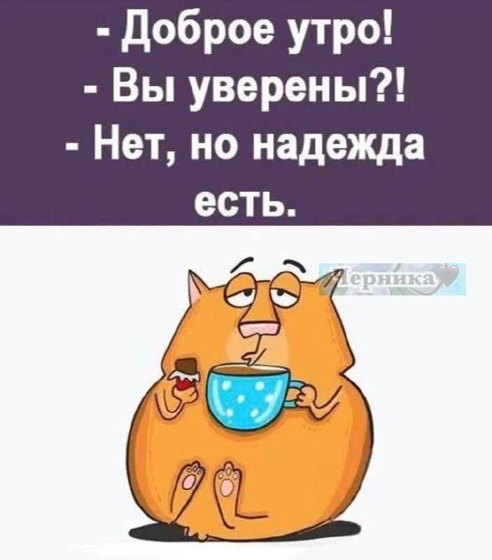 - Доброе утро!
- Вы уверены?!
- Нет, но надежда есть.
